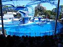 Sea World-153